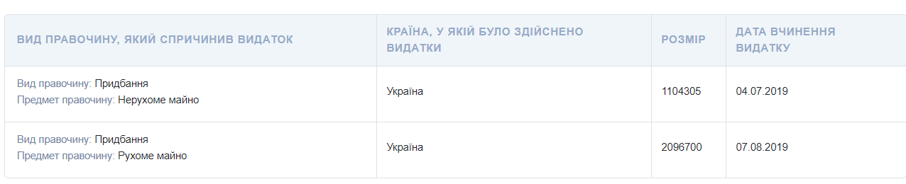 Будинок, квартира, дві машини: як живе і скільки заробляє міністр цифрової трансформації України Михайло Федоров 14