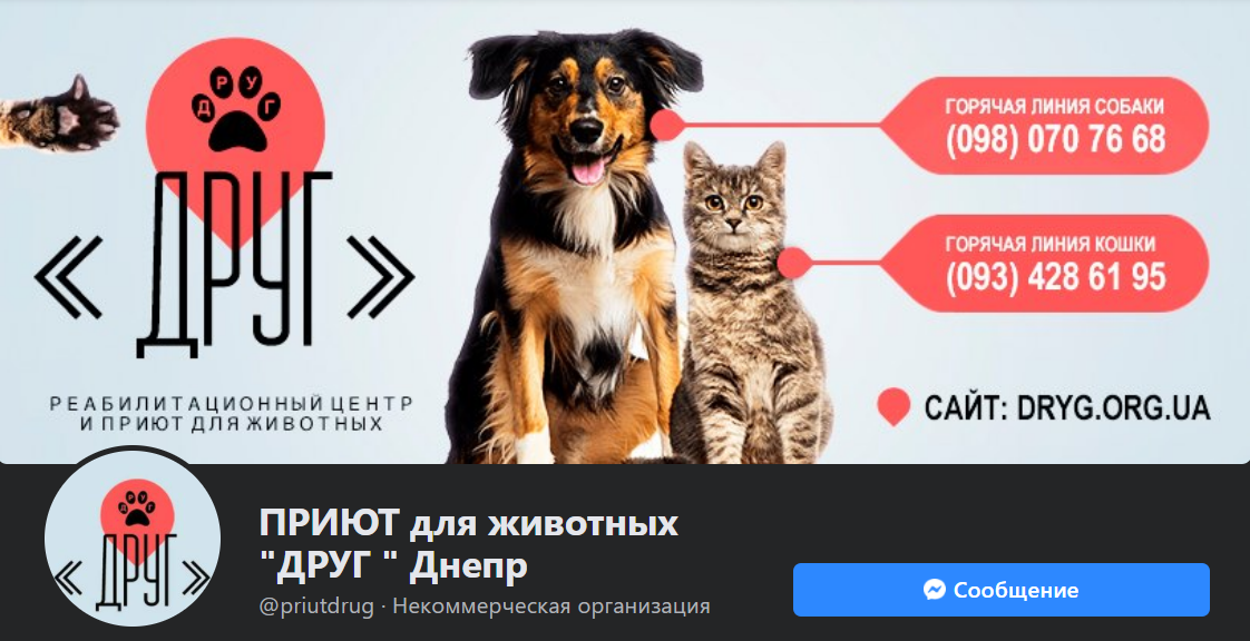 Как помочь животным, нуждающимся в нашем участии: популярные паблики и проекты 12