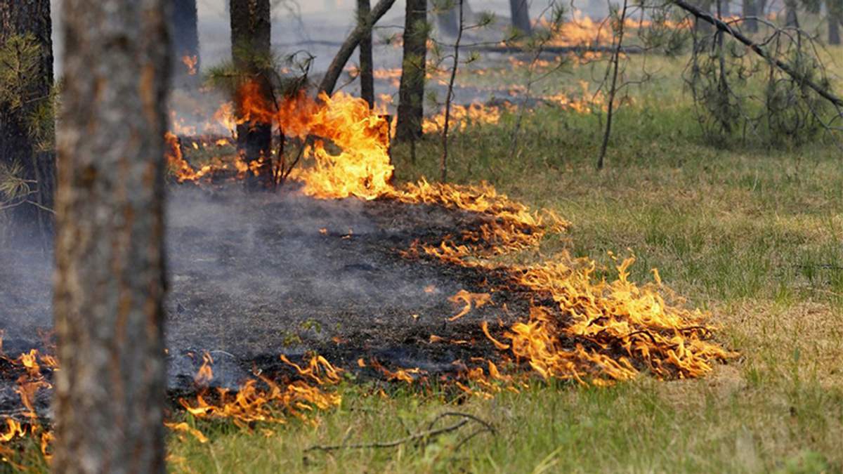 В Украине объявили чрезвычайный уровень пожарной опасности