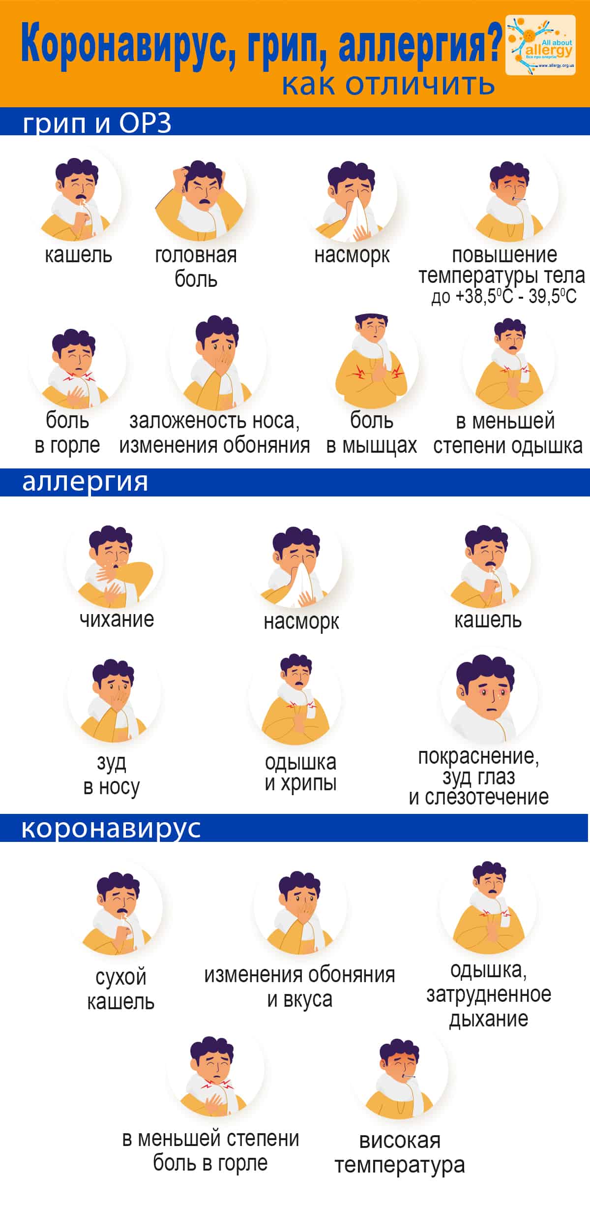 Весна идёт — аллергию несёт: аллергопрогноз на майские, или удастся ли аллергикам отдохнуть как следует 7