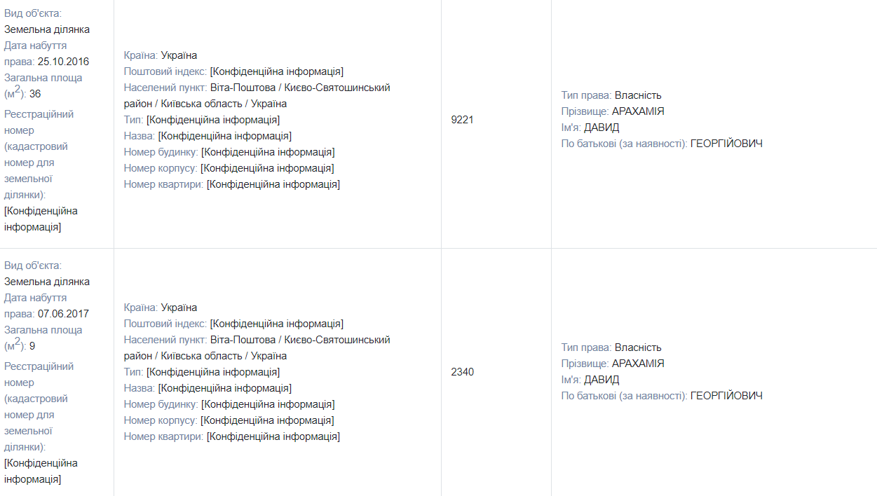 Квартиры, земли и дома, элитный автопарк и бриллианты: чем владеет и сколько зарабатывает глава фракции «Слуга народа» Давид Арахамия 2