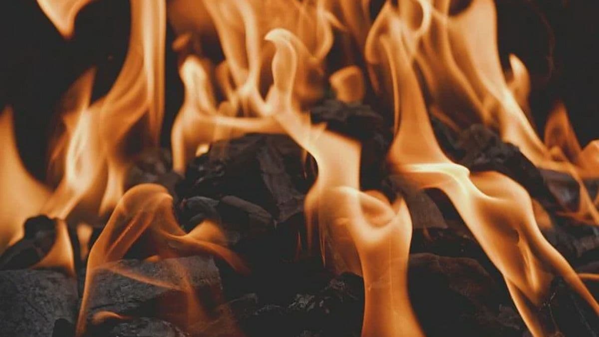 У Європі ціни на вугілля зросли до рекордного рівня за останні 13 років