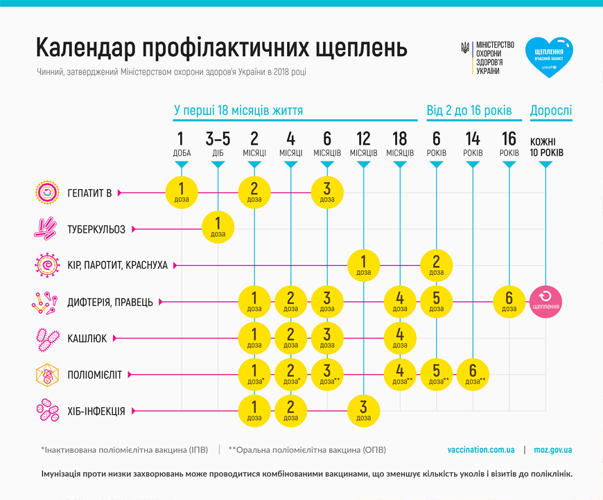 Календарь вакцинации Календарь вакцинации