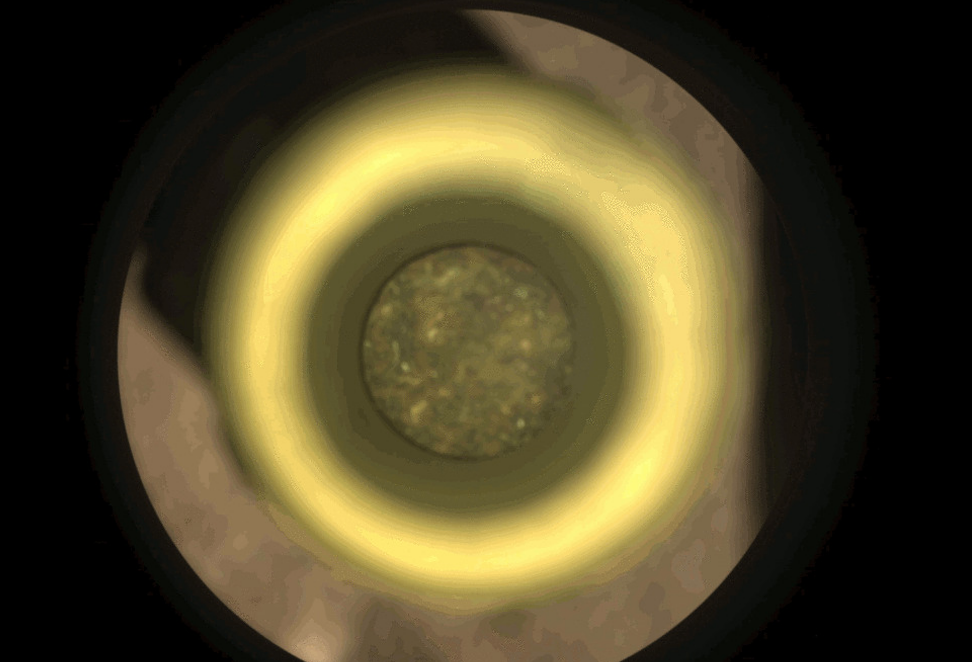 Марсоход Perseverance собрал образцы грунта на Марсе: ученые ищут возможность отправить их на Землю 1