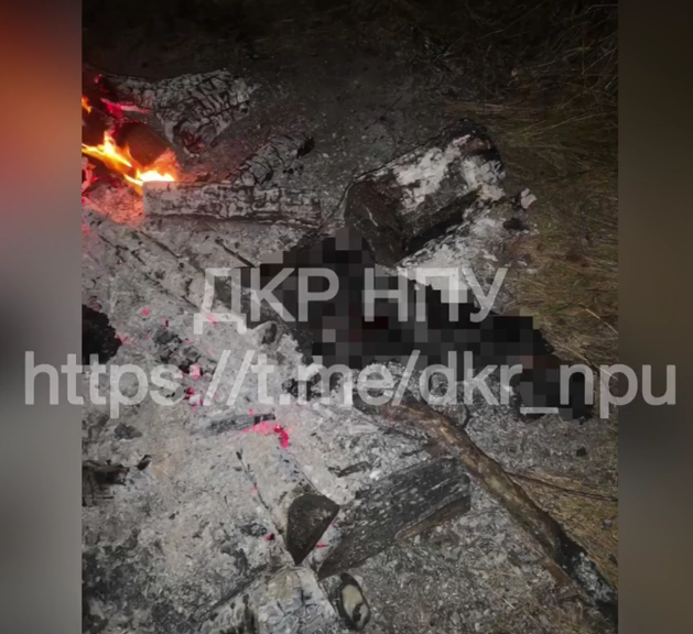 В Николаевской области мужчина убил сына и пытался сжечь тело 2