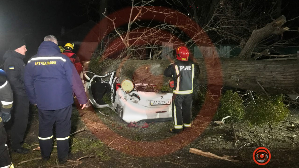 В Киеве из-за ветра дерево упало на Peugeot и раздавило мужчину: ещё один человек в больнице