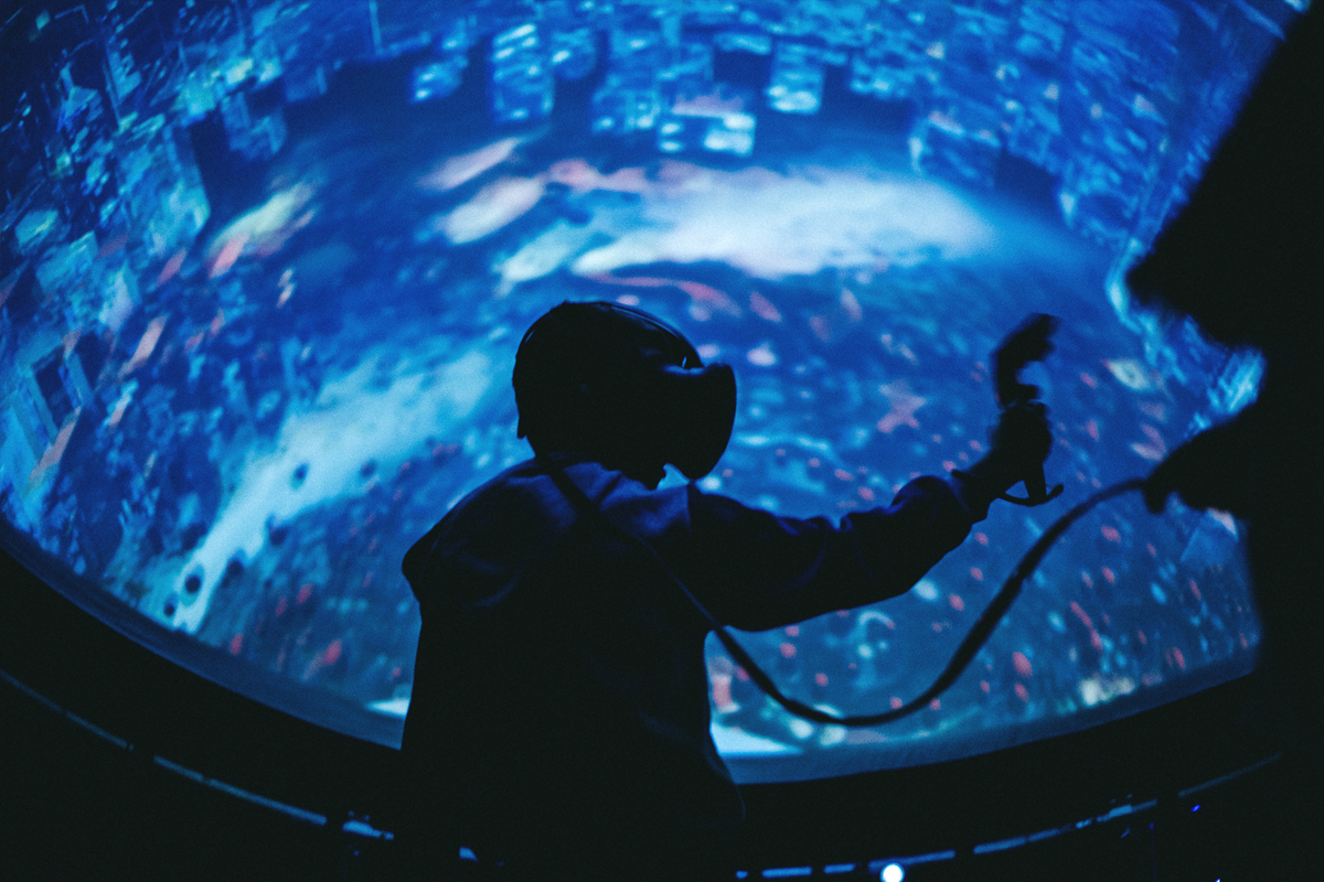 Погружение в новый мир