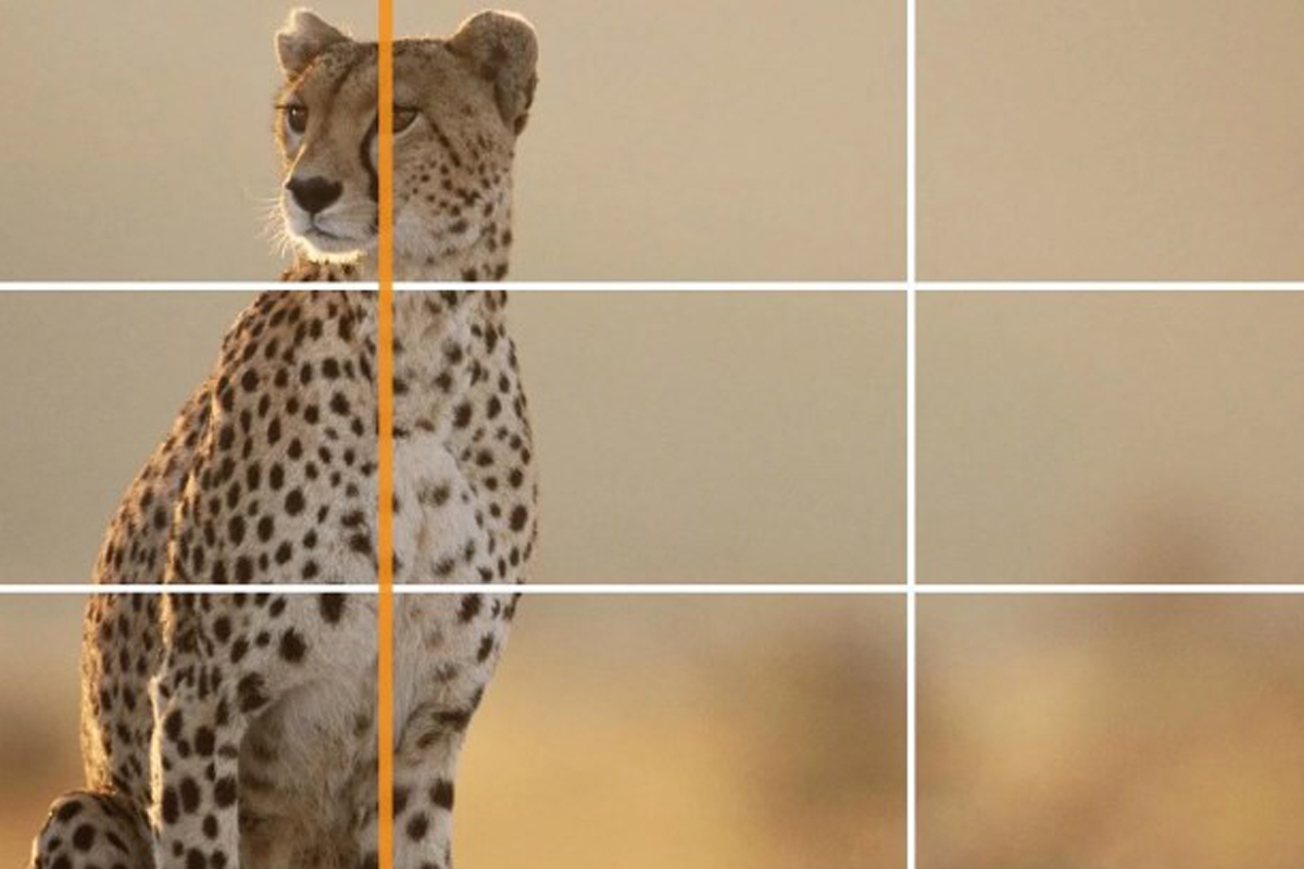 Объект смотрится выигрышно на самих линиях