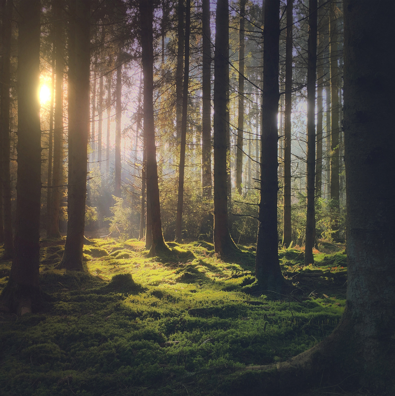 Фото на iPhone 6s от Mariko Klug