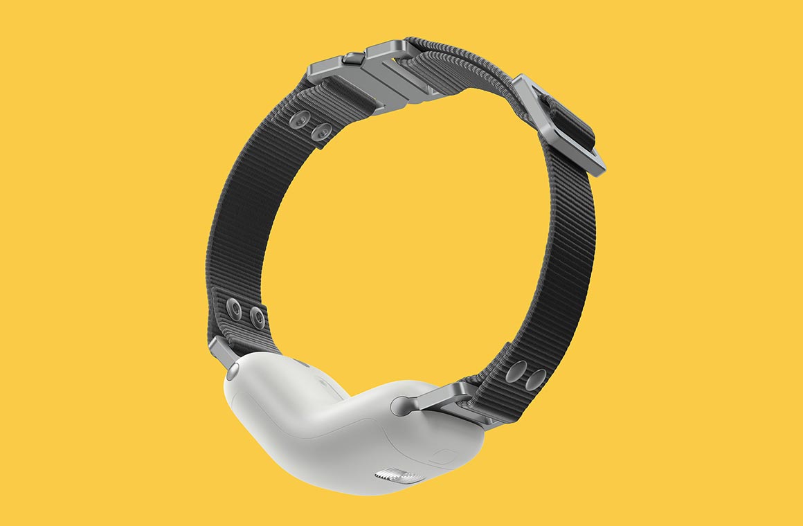 Рабочая модель умного ошейника Рабочая модель умного ошейника