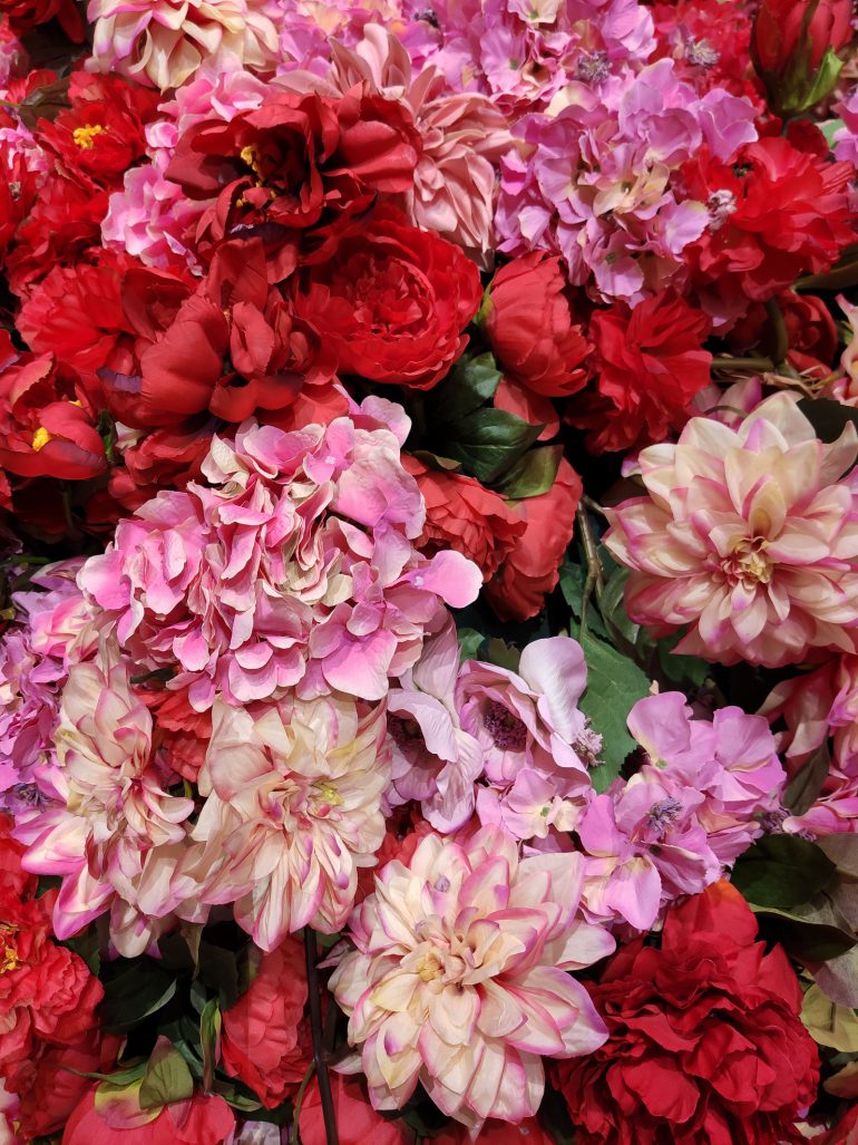 Снимки отличаются высоким качеством