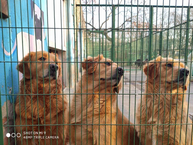 При увеличении можно разглядеть отражение фотографа в зрачке животного