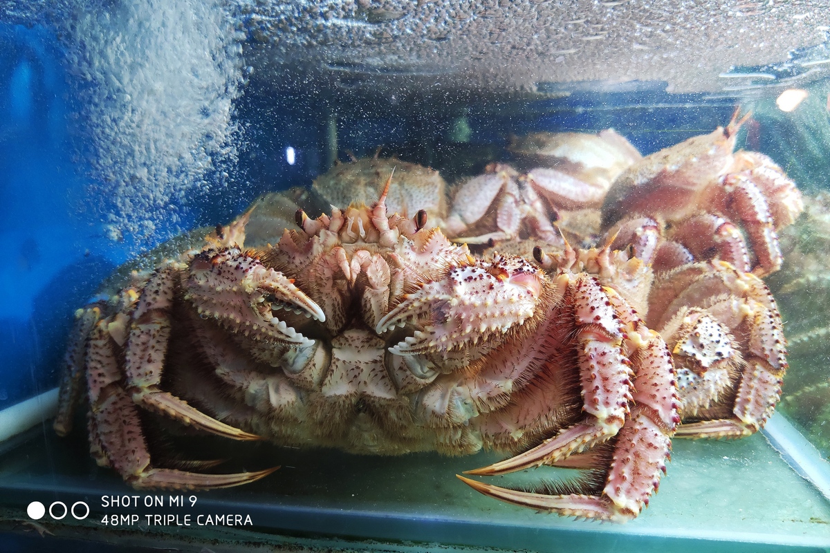 Разрешение оригинальных фото составляет 6928x5196 пикселей