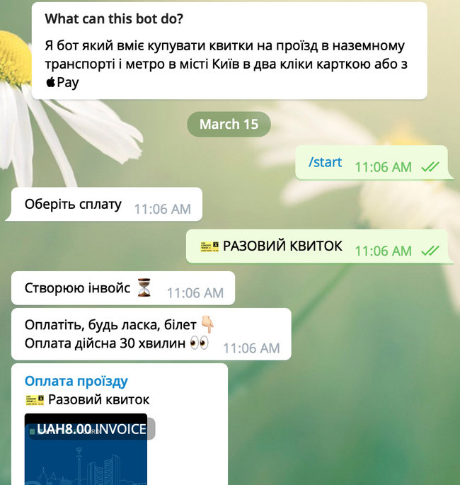 Пример оплаты проезда в новом чат-боте Пример оплаты проезда в новом чат-боте