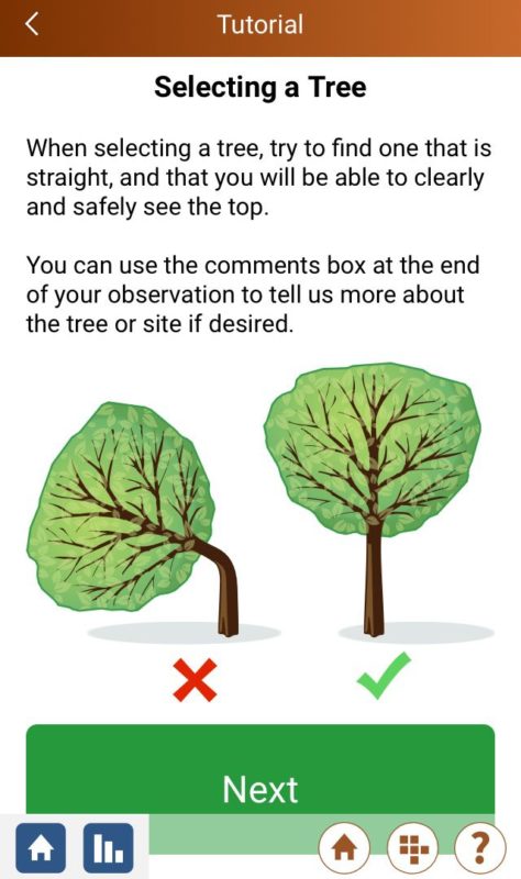 GLOBE Trees