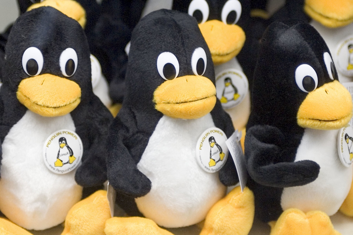 Правительство Южной Кореи хочет перейти на Linux, чтобы снизить расходы на содержание парка компьютеров