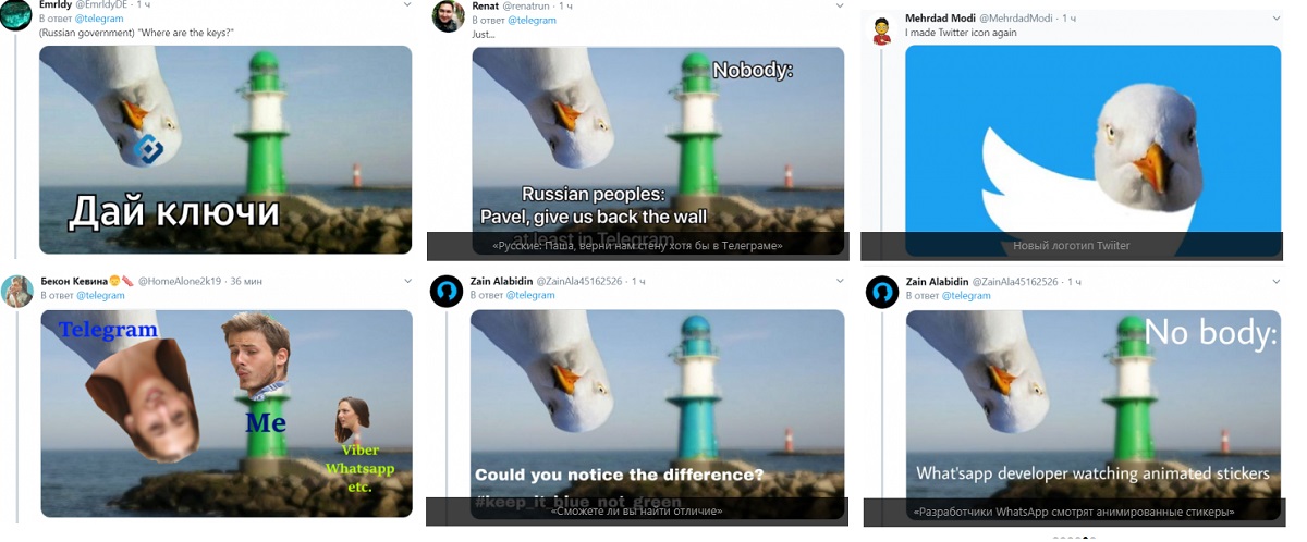 Стикеры за мемас: Telegram подвел итоги конкурса за лучшую карикатуру с голубем 1