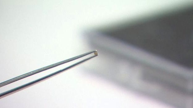 Ученые создали сенсоры, которые имеют размер не больше сахарной песчинки