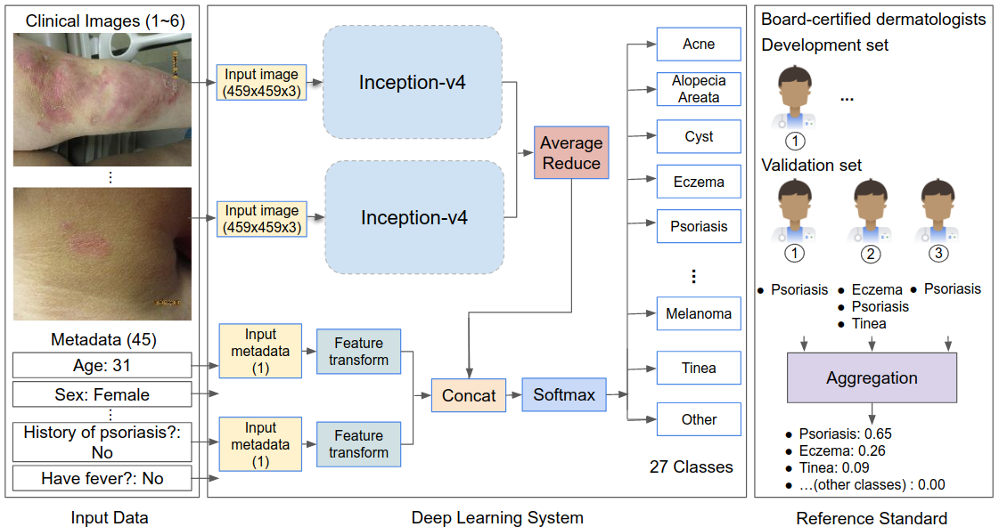Для «тренировки» нейросети медики использовали 17 777 фотографий диагностированных медицинских случаев