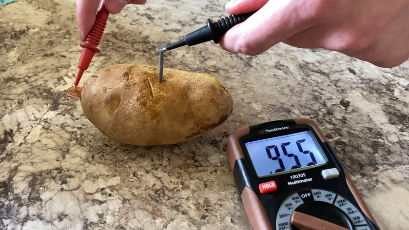 Equalo выяснил, что одна картофелина дает чуть меньше 1 миллиампера