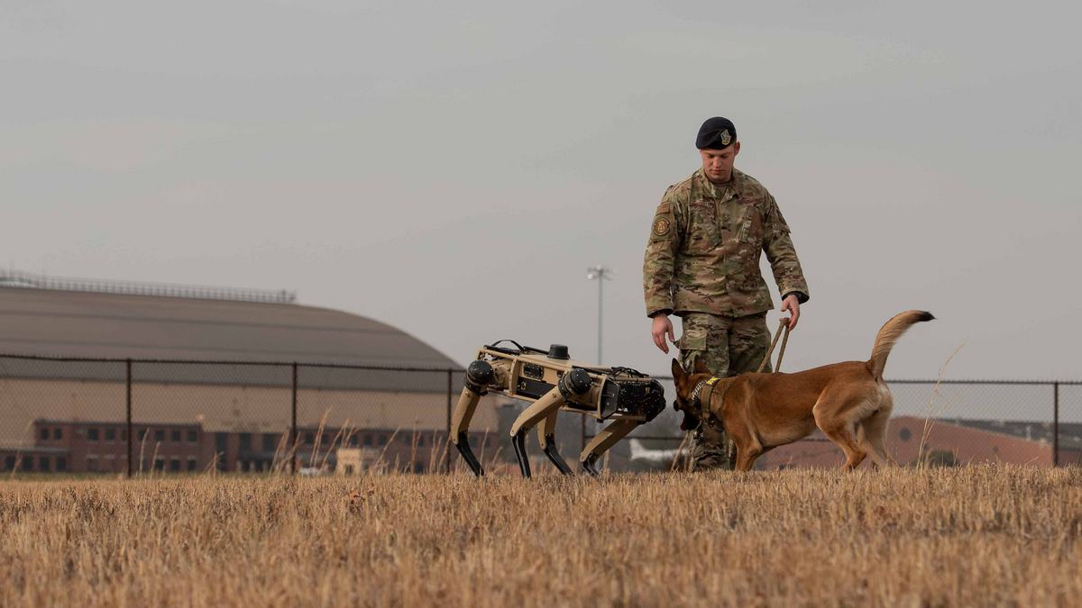 На авиабазах США "робособаки" Ghost Robotics тренируются вместе со служебными собаками